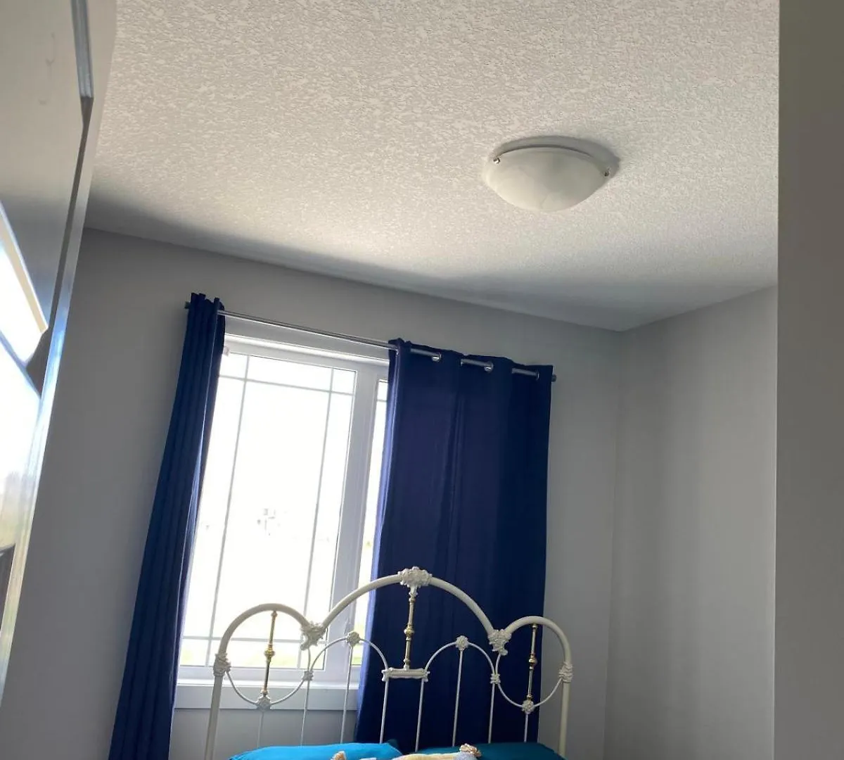 Flowealth Property Luxury Villa Near Lake Netflix Tv Wifi YYC 0*,